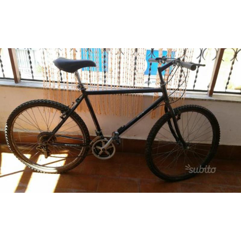 Bicicletta 26