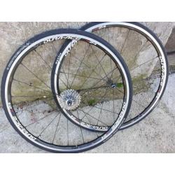 Ruote Shimano Dura Ace C24 carbonio