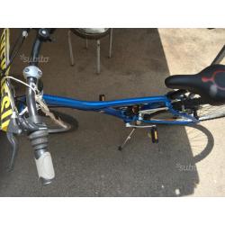 Bici mountain bike originale