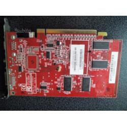 Scheda video pci-express