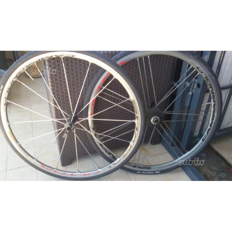 Ruote Campagnolo Shamal Ultra