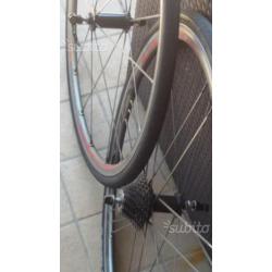 Ruote Campagnolo Shamal Ultra