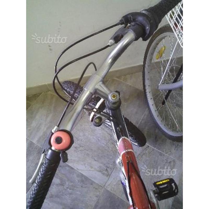 Bicicletta bimbo con marce