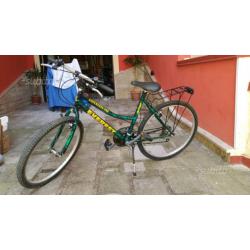 Bicicletta everest modello adventure one