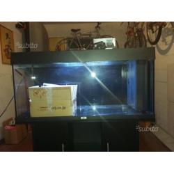 Acquario juwel 180l lt 100 x 50 a x 40 p con mangi