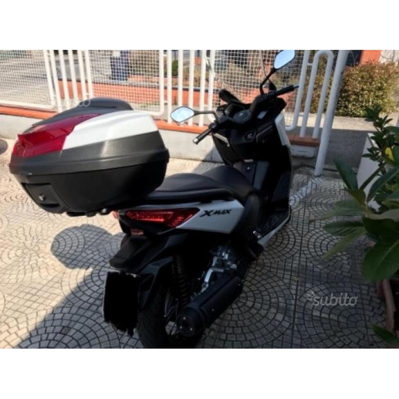 Baule 50L con Staffe Yamaha T-max/X-max